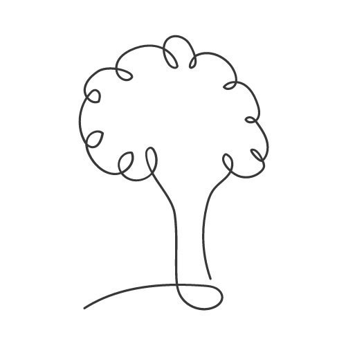 Remo Meier Consulting Remo Meier Consulting