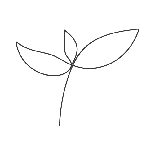 Remo Meier Consulting Remo Meier Consulting